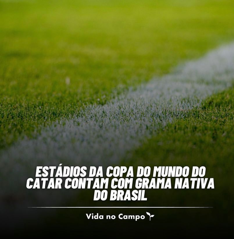 Fonte: canalrural.com.br