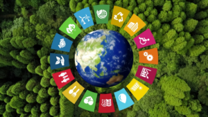 Objetivos de Desenvolvimento Sustentável