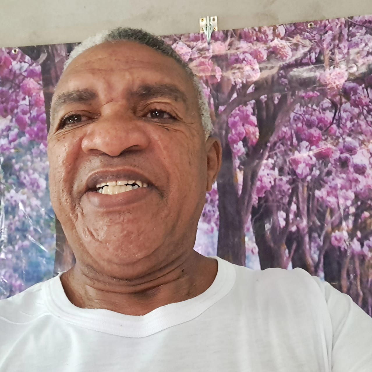 Ademar Ribeiro de Souza